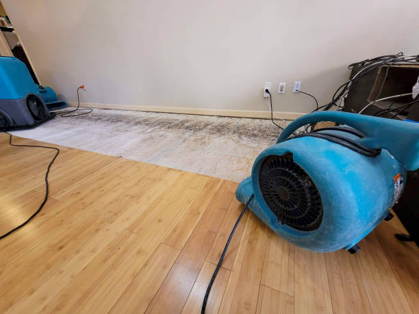 Professional Structural Drying technician working in Clay Center, OH